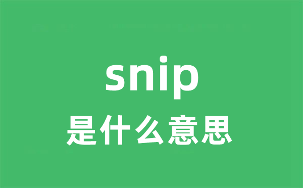 snip是什么意思