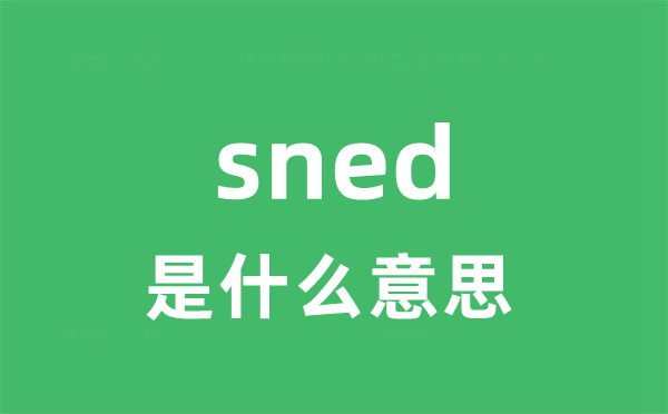 sned是什么意思