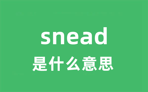 snead是什么意思