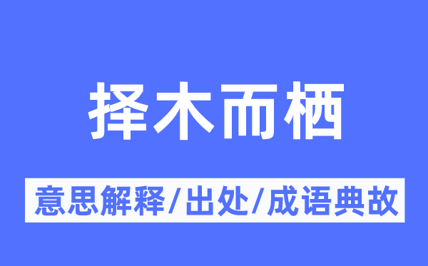 择木而栖的意思解释,择木而栖的出处及成语典故