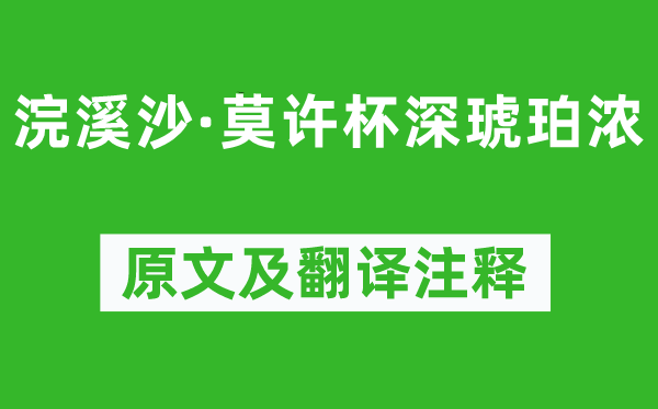 李清照《浣溪沙·莫许杯深琥珀浓》原文及翻译注释,诗意解释