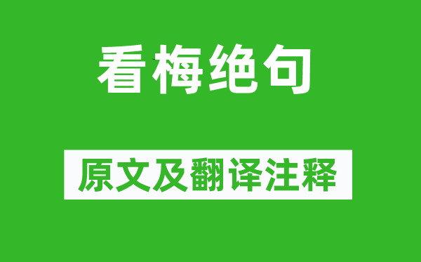 陆游《看梅绝句》原文及翻译注释,诗意解释