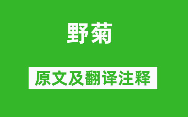 李商隐《野菊》原文及翻译注释,诗意解释