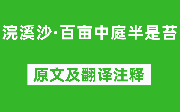 王安石《浣溪沙·百亩中庭半是苔》原文及翻译注释,诗意解释