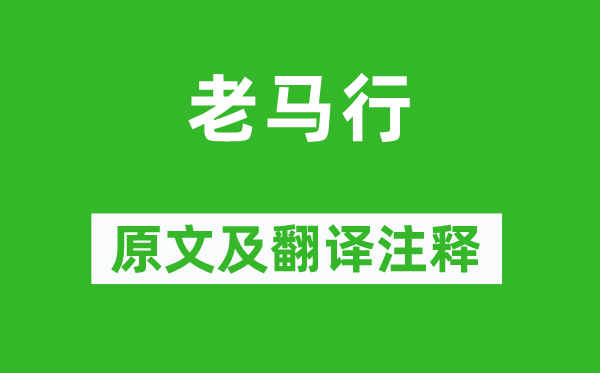 陆游《老马行》原文及翻译注释,诗意解释