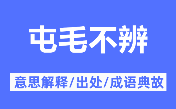 屯毛不辨的意思解释,屯毛不辨的出处及成语典故