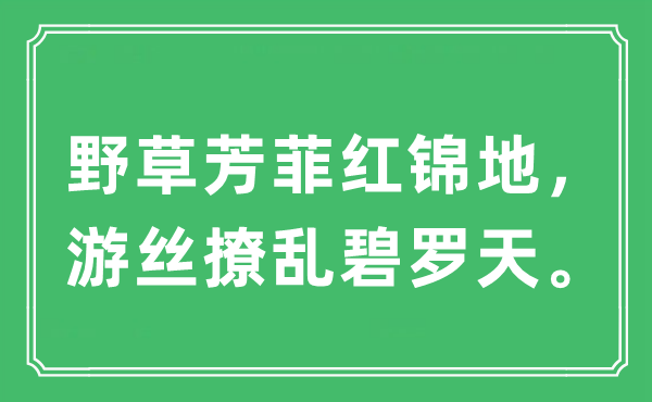 “野草芳菲红锦地，游丝撩乱碧罗天。”是什么意思,出处及原文翻译