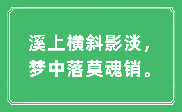 “溪上横斜影淡，梦中落莫魂销”是什么意思,出处及原文翻译