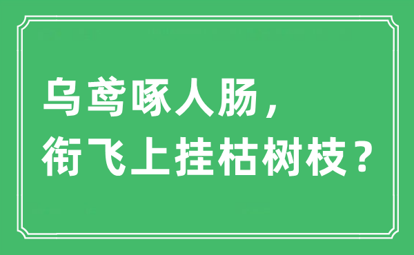 “乌鸢啄人肠，衔飞上挂枯树枝？”是什么意思,出处及原文翻译