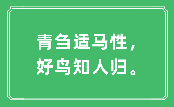 “青刍适马性，好鸟知人归。”是什么意思,出处及原文翻译