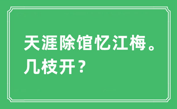 “天涯除馆忆江梅。几枝开？”是什么意思,出处及原文翻译