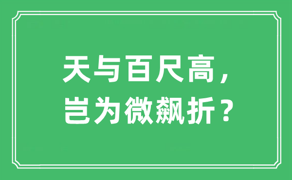 “天与百尺高，岂为微飙折？”是什么意思,出处及原文翻译