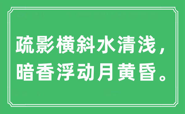 “疏影横斜水清浅，暗香浮动月黄昏。”是什么意思,出处及原文翻译