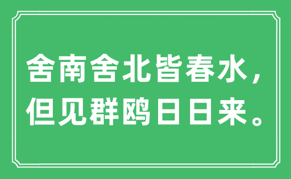 “舍南舍北皆春水，但见群鸥日日来。”是什么意思,出处及原文翻译