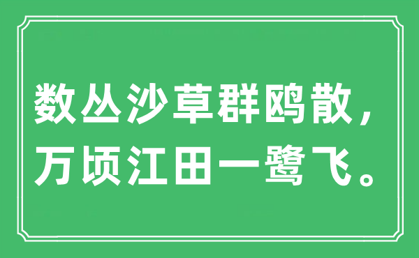 “数丛沙草群鸥散，万顷江田一鹭飞”是什么意思,出处及原文翻译