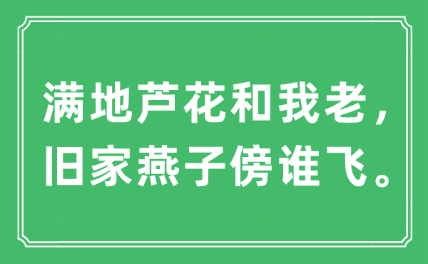 “满地芦花和我老，旧家燕子傍谁飞”是什么意思,出处及原文翻译