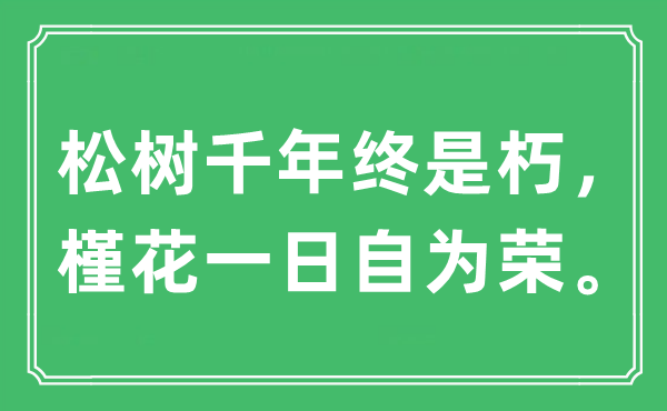 “松树千年终是朽，槿花一日自为荣。”是什么意思,出处及原文翻译