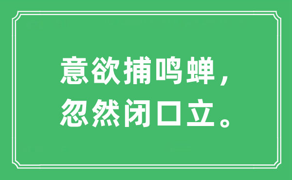 “意欲捕鸣蝉，忽然闭口立”是什么意思,出处及原文翻译