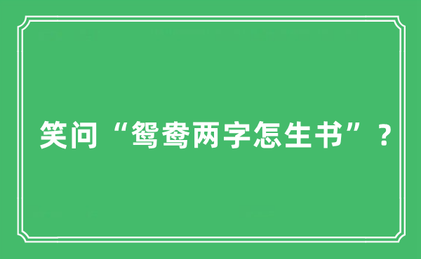 “笑问“鸳鸯两字怎生书”？”是什么意思,出处及原文翻译