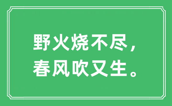 “野火烧不尽，春风吹又生”是什么意思,出处及原文翻译