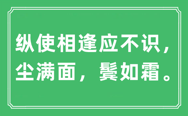 “纵使相逢应不识，尘满面，鬓如霜”是什么意思,出处及原文翻译