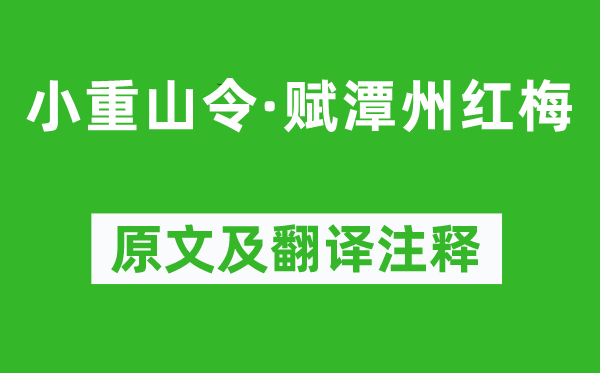 姜夔《小重山令·赋潭州红梅》原文及翻译注释,诗意解释