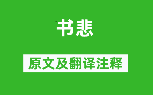 陆游《书悲》原文及翻译注释,诗意解释