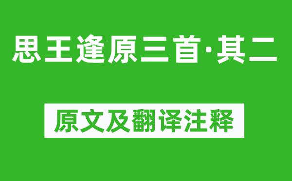 王安石《思王逢原三首·其二》原文及翻译注释,诗意解释