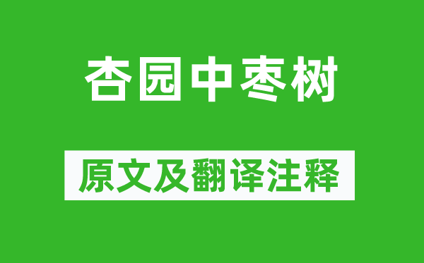 白居易《杏园中枣树》原文及翻译注释,诗意解释