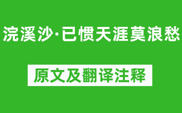 纳兰性德《浣溪沙·已惯天涯莫浪愁》原文及翻译注释,诗意解释