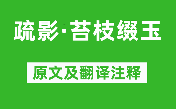 姜夔《疏影·苔枝缀玉》原文及翻译注释,诗意解释