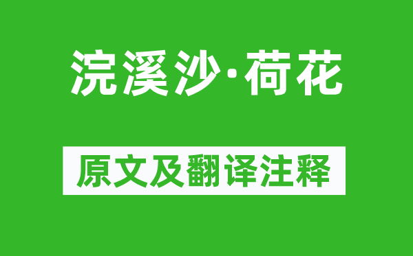 苏轼《浣溪沙·荷花》原文及翻译注释,诗意解释