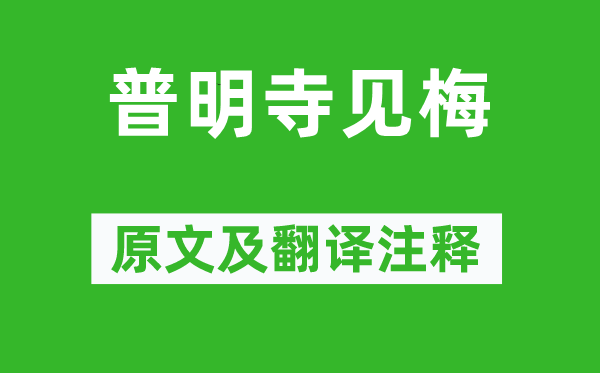 杨万里《普明寺见梅》原文及翻译注释,诗意解释