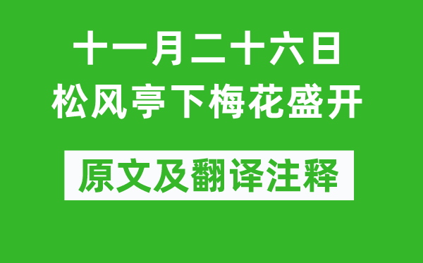 苏轼《十一月二十六日松风亭下梅花盛开》原文及翻译注释,诗意解释