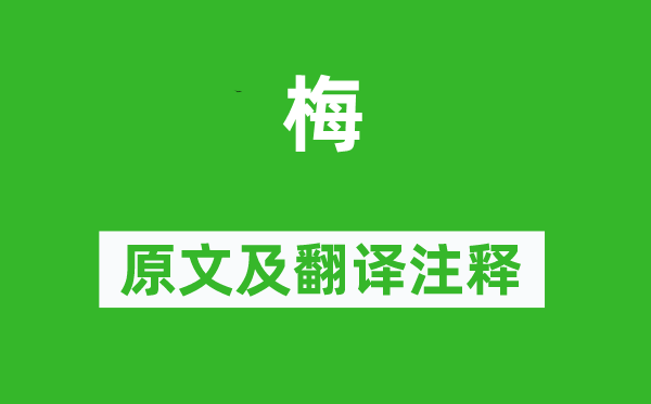 王淇《梅》原文及翻译注释,诗意解释