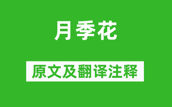 张新《月季花》原文及翻译注释,诗意解释