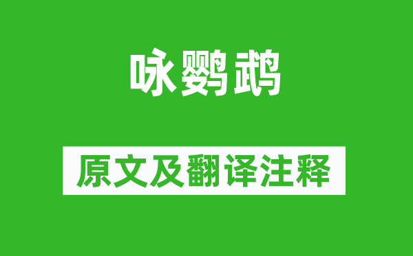 僧定渚《咏鹦鹉》原文及翻译注释,诗意解释