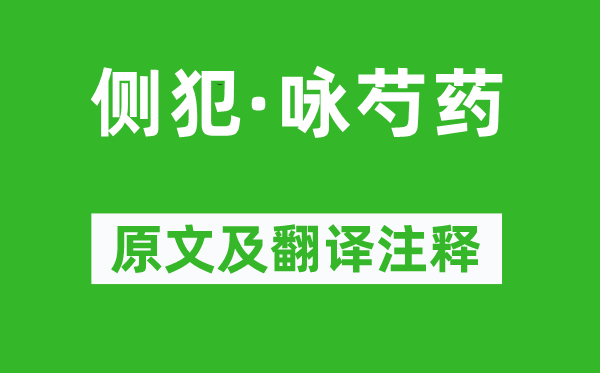 姜夔《侧犯·咏芍药》原文及翻译注释,诗意解释