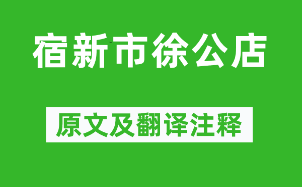 杨万里《宿新市徐公店》原文及翻译注释,诗意解释