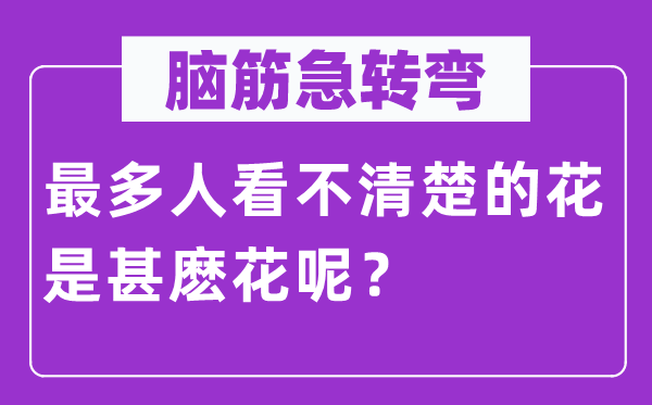 脑筋急转弯：最多人看不清楚的花是甚麽花呢？