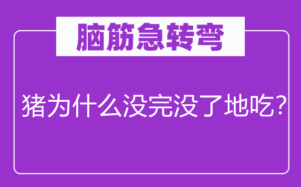 脑筋急转弯：猪为什么没完没了地吃？