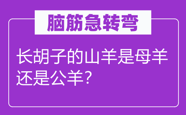 脑筋急转弯：长胡子的山羊是母羊还是公羊？