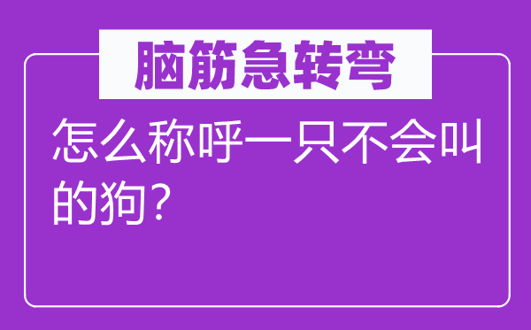 脑筋急转弯：怎么称呼一只不会叫的狗？