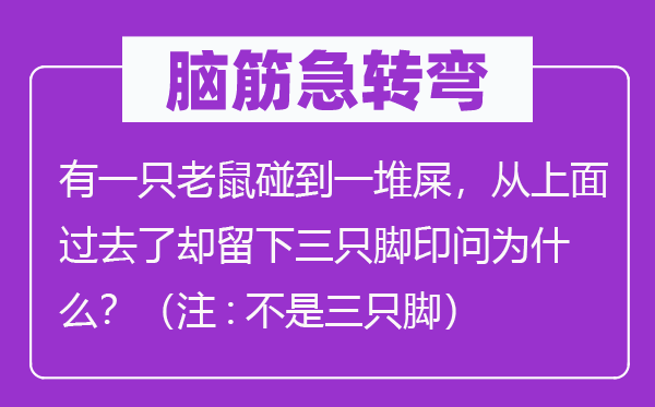 脑筋急转弯：有一只老鼠碰到一堆屎，从上面过去了却留下三只脚印问为什么？（注:不是三只脚）