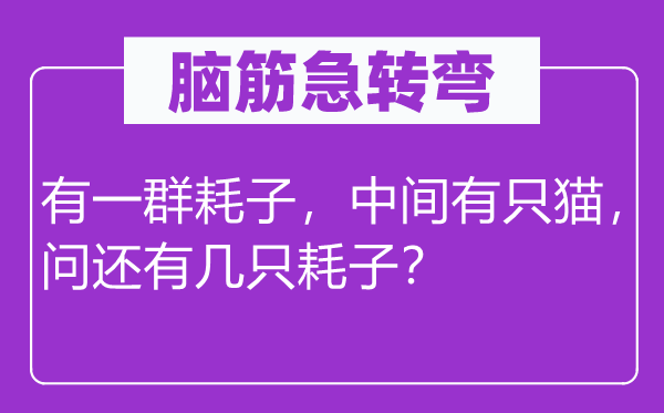 脑筋急转弯：有一群耗子，中间有只猫，问还有几只耗子？