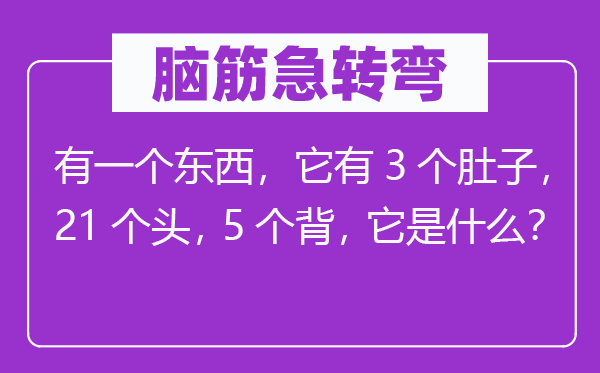 脑筋急转弯：有一个东西，它有3个肚子，21个头，5个背，它是什么？