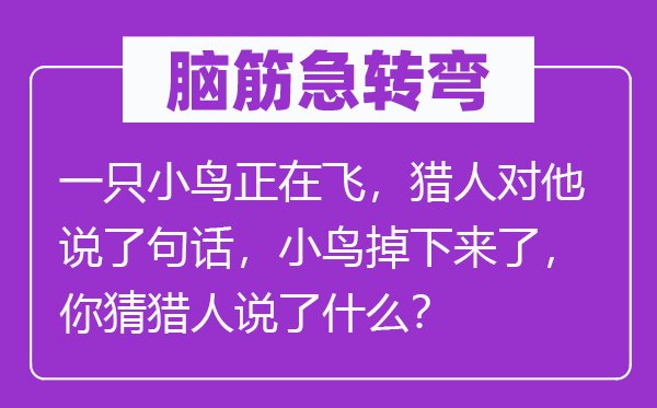 脑筋急转弯：一只小鸟正在飞，猎人对他说了句话，小鸟掉下来了，你猜猎人说了什么？