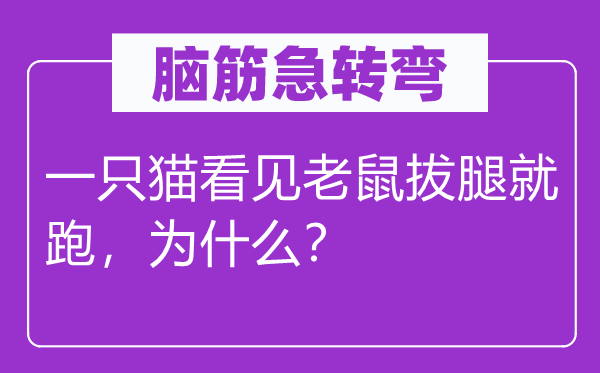 脑筋急转弯：一只猫看见老鼠拔腿就跑，为什么？