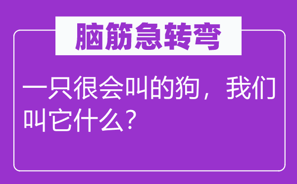 脑筋急转弯：一只很会叫的狗，我们叫它什么？