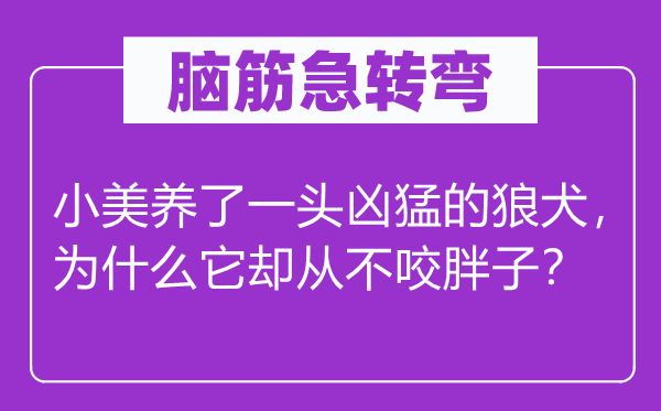 脑筋急转弯：小美养了一头凶猛的狼犬，为什么它却从不咬胖子？